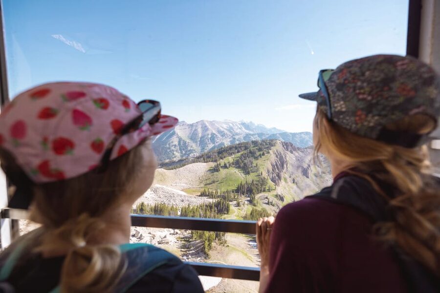 Jackson Hole: Aerial Tram and Gondolas Sightseeing - How much value do you get for $55?