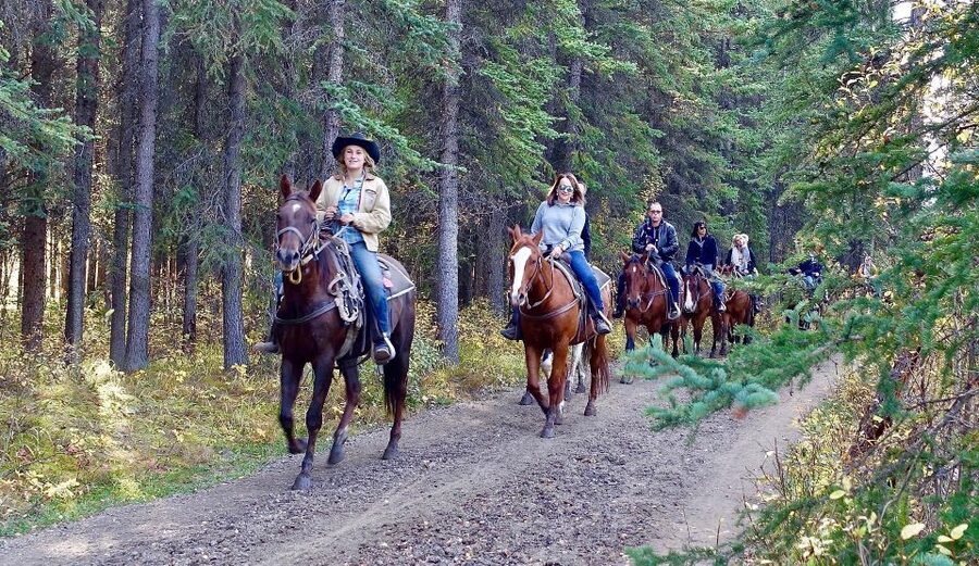 Jackson Hole: Bridger-Teton National Forest Horseback Ride - A Short Riding Lesson Before the Trail