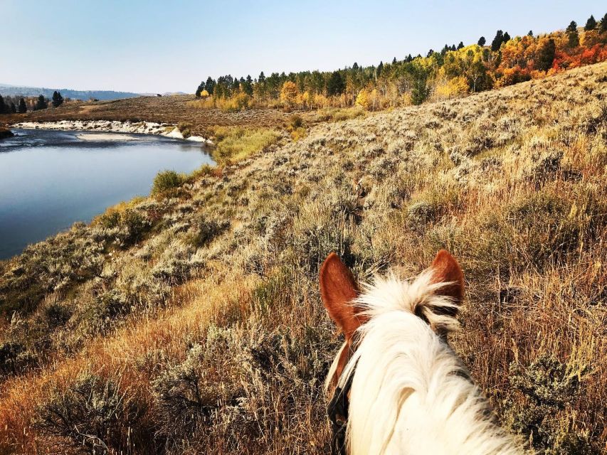 Jackson Hole: Bridger-Teton National Forest Horseback Ride - The Horse Matching Takes Time