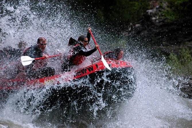 Jackson Hole Whitewater Rafting Classic from Jackson Hole,Wyoming - What this Snake River trip really feels like