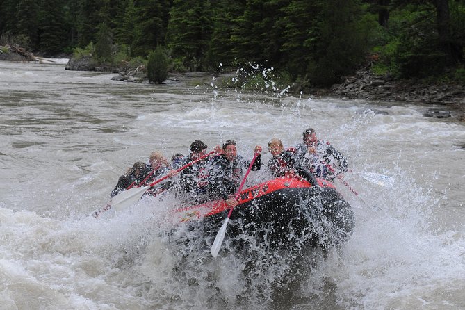 Jackson Hole Whitewater Rafting Classic from Jackson Hole,Wyoming - Who will enjoy this rafting trip most?