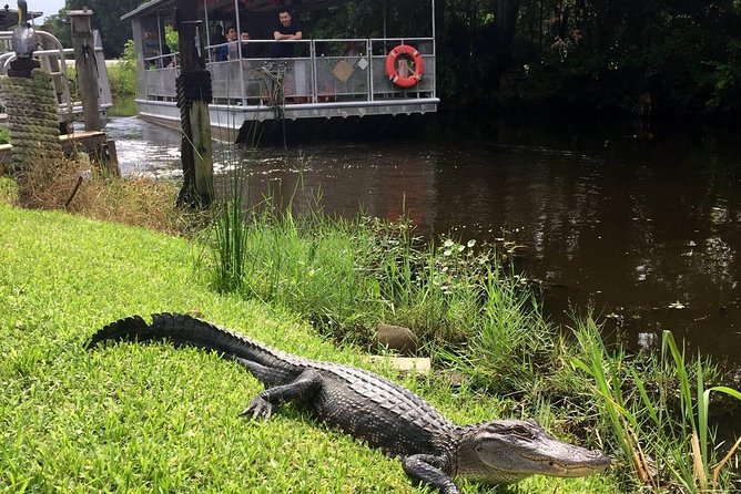 Jean Lafitte 90-Minute Swamp and Bayou Boat Tour - Leaving New Orleans for the bayou