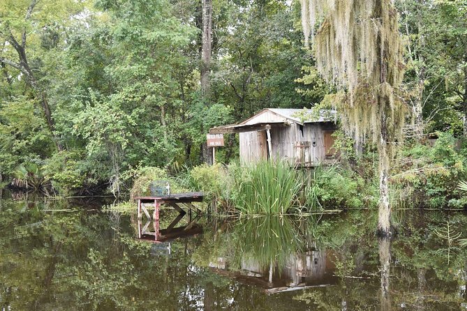 Jean Lafitte 90-Minute Swamp and Bayou Boat Tour - Alligators, birds, and the art of spotting movement