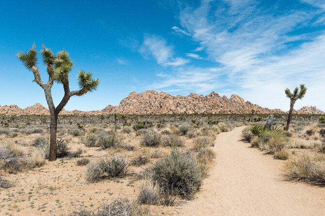 Joshua Tree National Park Self-Guided Driving Audio Tour - Hidden Valley Nature Trail adds an easy walk