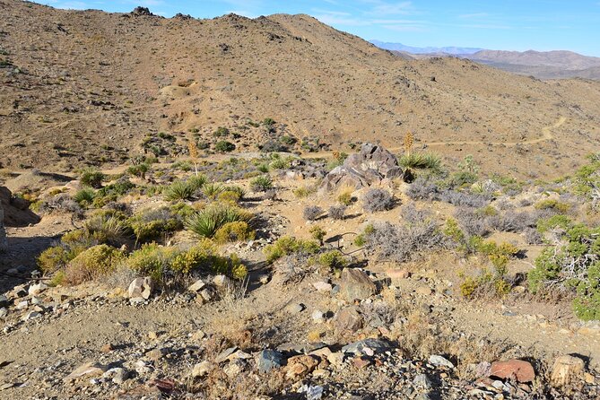 Joshua Tree National Park Self-Guided Driving Audio Tour - Lost Horse Valley and the old gold mines