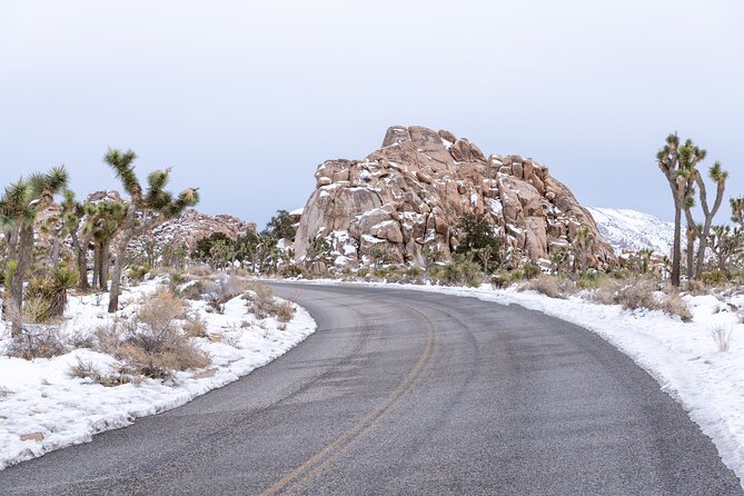 Joshua Tree National Park Self-Guided Driving Audio Tour - Finishing at the Oasis Visitor Center