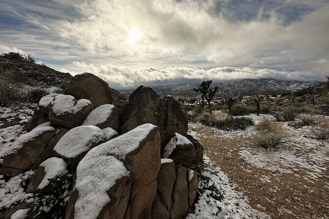 Joshua Tree National Park Self-Guided Driving Audio Tour - Starting near the Joshua Tree Visitor Center