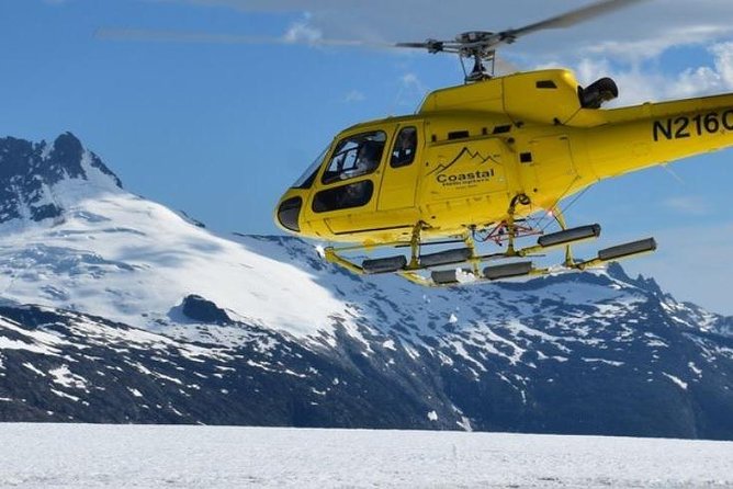 Juneau Shore Excursion: Helicopter Tour and Guided Icefield Walk - Weather, cancellations, and the real risk