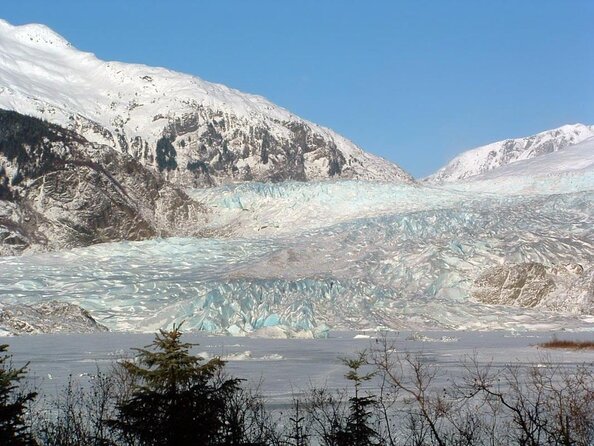Juneau Wildlife Whale Watching & Mendenhall Glacier - Guides Who Make the Difference