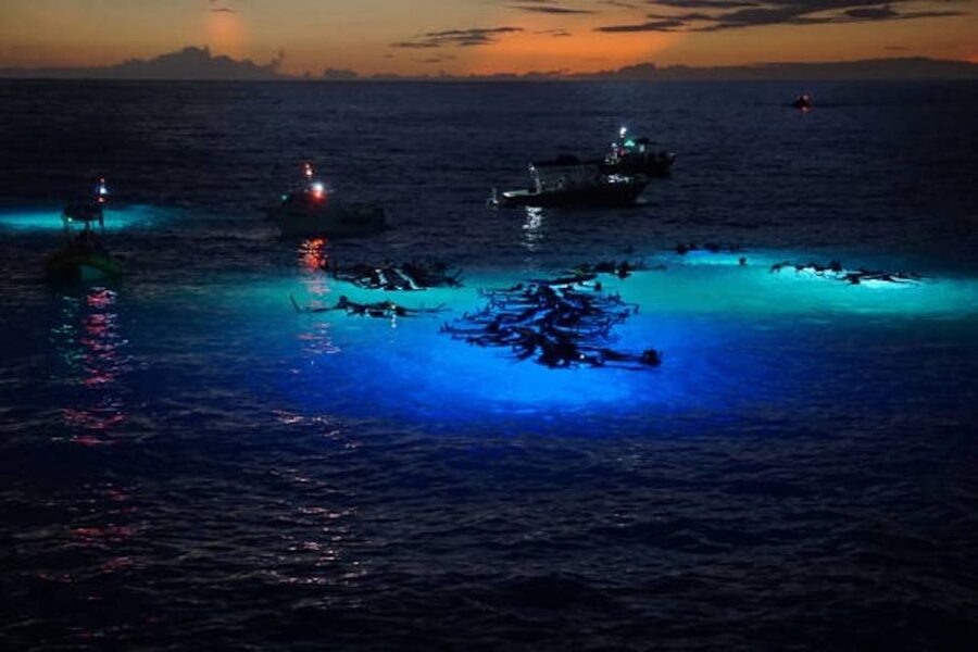 Kailua-Kona: Manta Ray Watching Nighttime Boat Trip - Why Kona’s manta ray encounter is so special