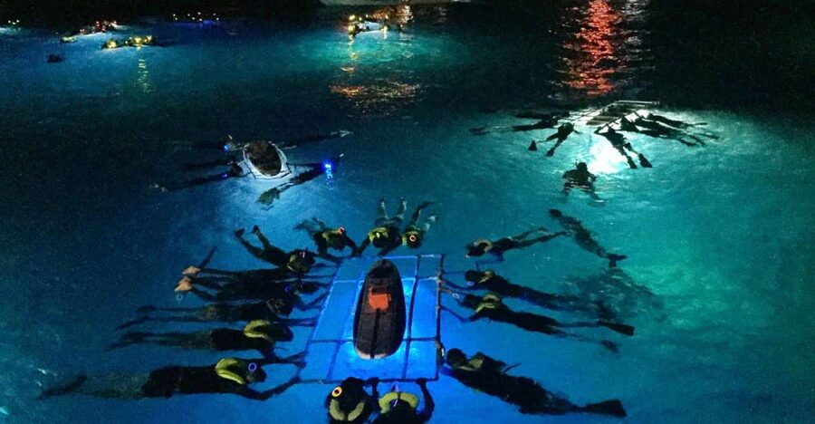Kailua Kona: Night Manta Ray Adventure on the Big Island - Key points to know before booking