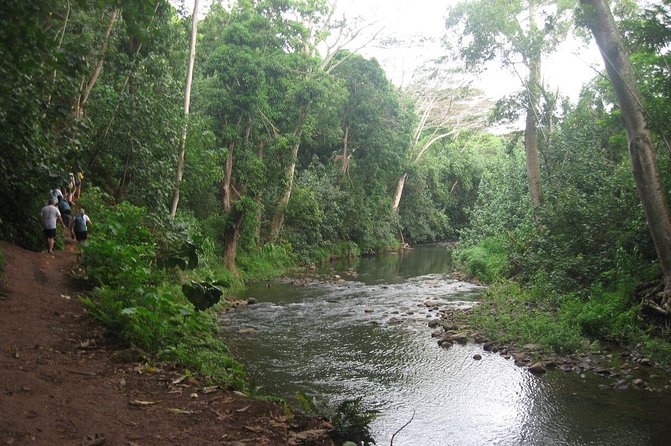 Kauai Adventure: Kayak & Hike to Secret Falls with Expert Guide - Leaving the boats for the jungle trail
