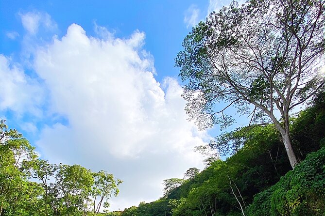 Kauai Adventure: Kayak & Hike to Secret Falls with Expert Guide - What you get for $140