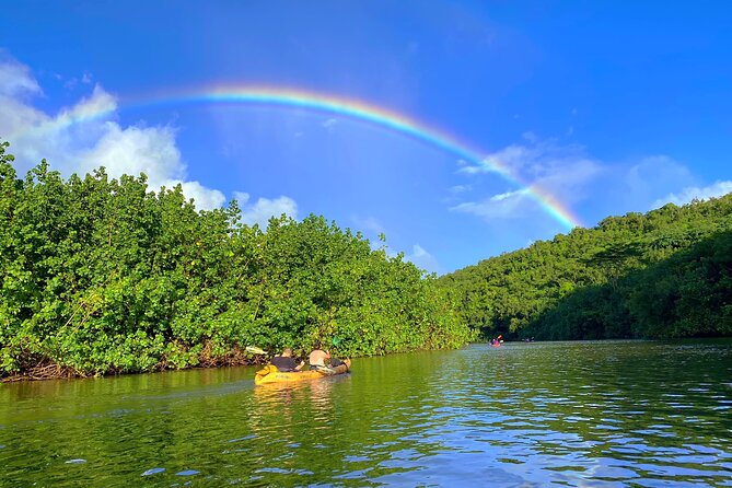 Kauai Adventure: Kayak & Hike to Secret Falls with Expert Guide - My verdict on the paddle to Secret Falls