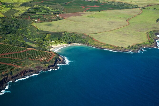 Kauai Airplane Tour: Na Pali Coast, Waterfalls & Window Seats - Mount Waialeale and the wet heart of Kauai