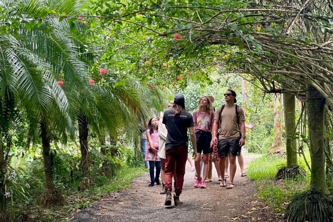 Kauai Chocolate Farm Tasting Tour - Why cacao makes this Kauai tour different