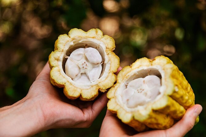 Kauai Chocolate Farm Tasting Tour - Who will enjoy this most