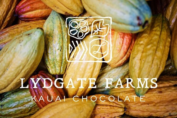 Kauai Chocolate Farm Tasting Tour - Walking through the botanical gardens
