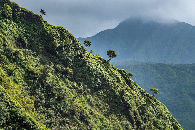 Kauai Eco Adventure Helicopter Tour - Hanapepe Valley and Manawaiopuna Falls