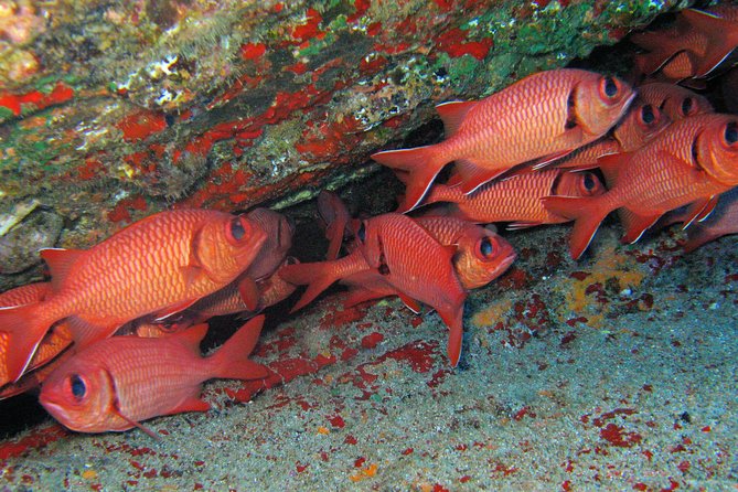 Kauai’s Ultimate Guided Shore Snorkel in South Poipu - Equipment, warmth, and small comforts