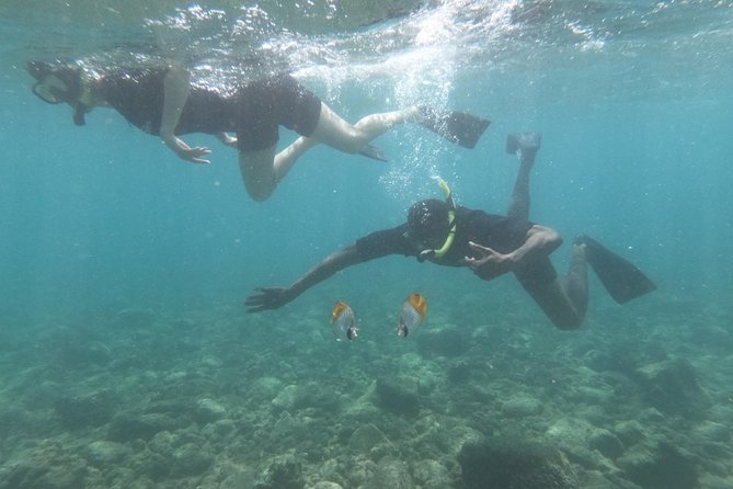 Kauai’s Ultimate Guided Shore Snorkel in South Poipu - Is the $119.80 price good value?