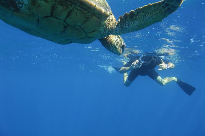 Kauai's Ultimate South Island Zodiac Boat Snorkel Adventure - The Zodiac ride: thrilling for some, tiring for others