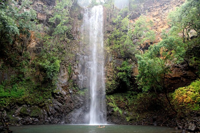 Kauai: Secret Falls Kayak and Hike - Why a Guide Adds Real Value
