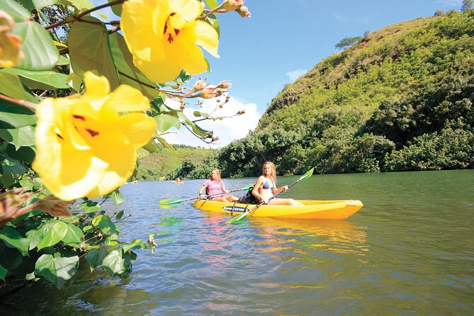 Kauai: Secret Falls Kayak and Hike - Fitness, Water Comfort, and Safety