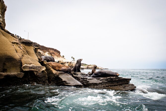 Kayak Tour of the 7 Caves - Is $76 a good value for two people?