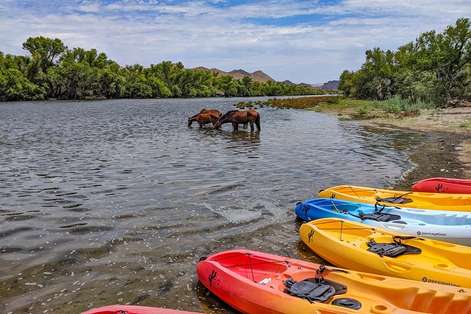 Kayaking the Salt River Foxtail Trip - Weekend energy or weekday quiet