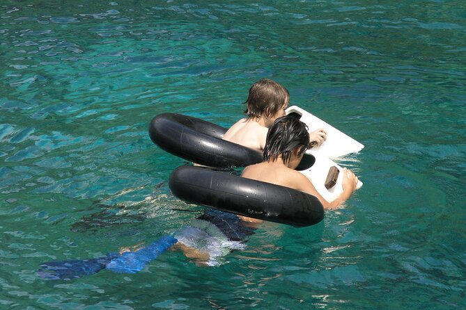 Kealakekua Bay Afternoon Snorkel: Family Fun on the Kona Coast - Slides, platform, and easy water access