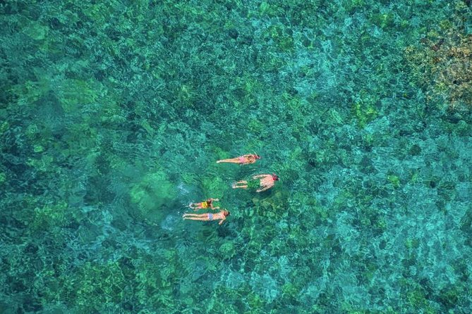 Kealakekua Bay Afternoon Snorkel: Family Fun on the Kona Coast - Who will enjoy this Kona snorkel trip most