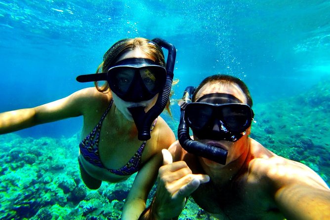 Kealakekua Bay Captain Cook Snorkel Exclusive - Why Kealakekua Bay is worth your morning or afternoon