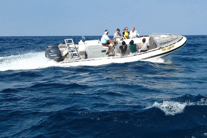 Kealakekua Bay Captain Cook Snorkel Exclusive - Gear, snacks, and the small details that matter
