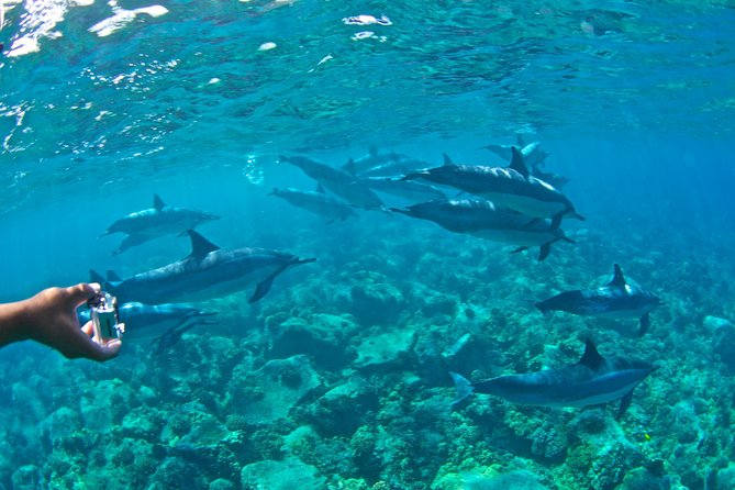 Kealakekua Bay Snorkeling Tour - 4 hour Kona Zodiac Adventure - The Captain Cook monument from the water