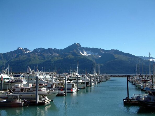Kenai Fjords and Resurrection Bay Half-Day Wildlife Cruise - Weather can change the route