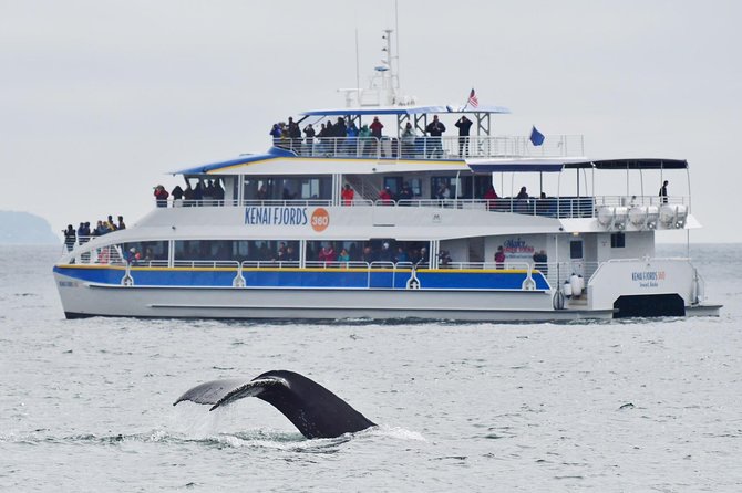 Kenai Fjords National Park Glacier & Wildlife Cruise - Why the six-hour route matters