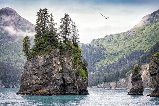 Kenai Fjords National Park Glacier & Wildlife Cruise - Holgate Glacier or Aialik Glacier