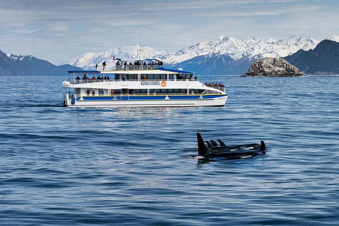 Kenai Fjords National Park Glacier & Wildlife Cruise - Wildlife: exciting, but never guaranteed