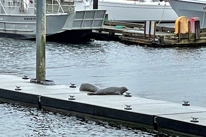 Ketchikan Duck Tour - Cruise-Port Timing and the Ward Cove Problem