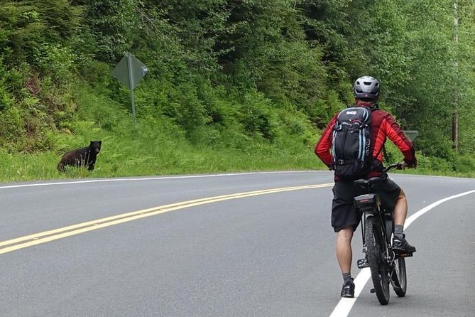 Ketchikan Electric Bike and Rain Forest Hike Ecotour - Learning to handle the electric bikes