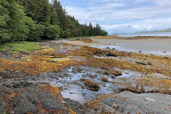 Ketchikan Electric Bike and Rain Forest Hike Ecotour - Into Tongass National Forest