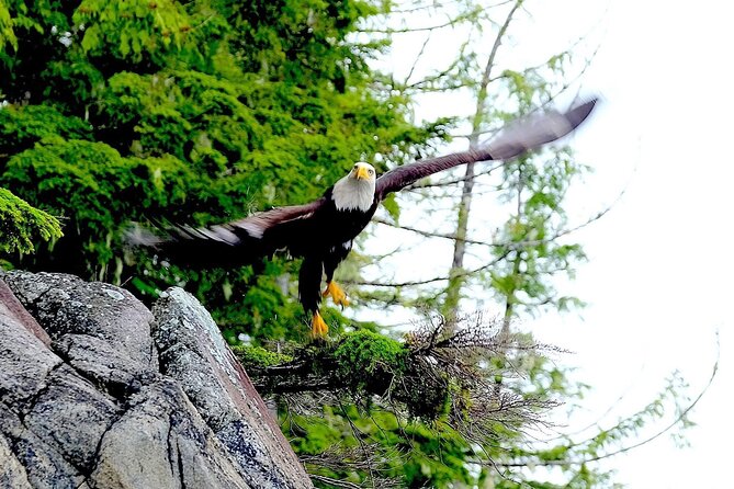 Ketchikan Electric Bike and Rain Forest Hike Ecotour - Guides make the difference