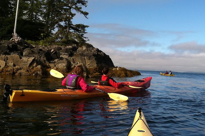 Ketchikan Kayak Eco-Tour - The possible stars of the day: sea lions and whales