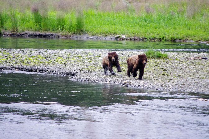 Ketchikan Shore Excursion: Eagle Island Sea Kayaking - Key Points Before You Paddle