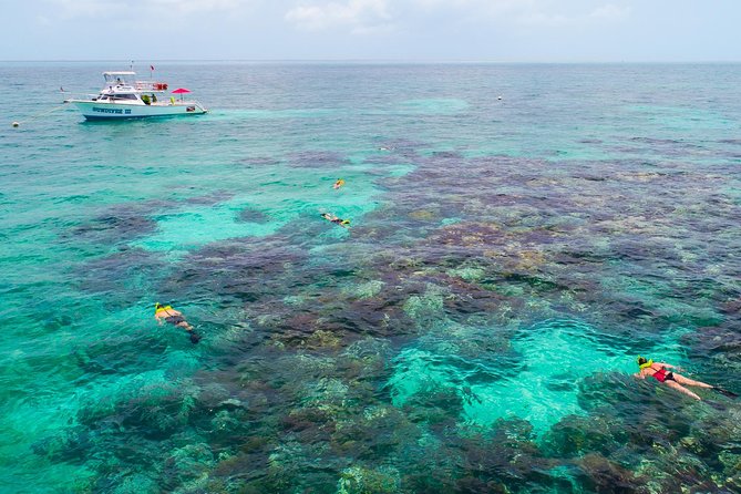 Key Largo Snorkeling Tour - rental mask, fins and vest INCLUDED - The ride to the Florida Keys National Marine Sanctuary
