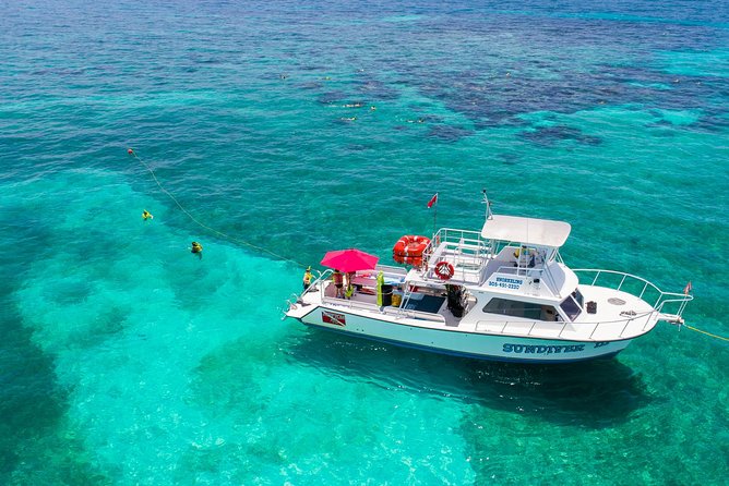 Key Largo Snorkeling Tour - rental mask, fins and vest INCLUDED - Molasses Reef and the best chance for classic reef scenery