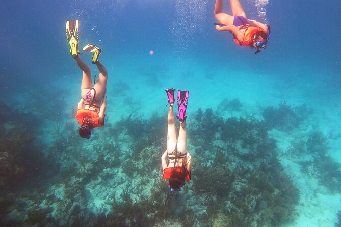 Key Largo Two Reef Snorkel Tour - All Snorkel Equipment Included! - Two reefs in three hours from Key Largo