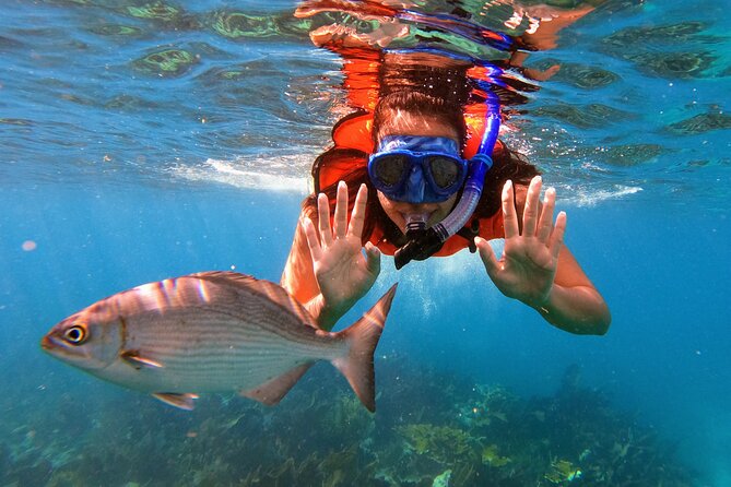 Key Largo Two Reef Snorkel Tour - All Snorkel Equipment Included! - Christ of the Abyss: the memorable first stop