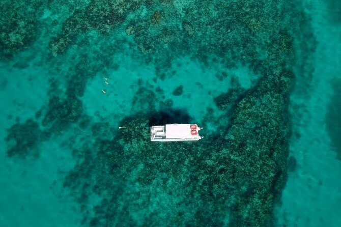 Key Largo Two Reef Snorkel Tour - All Snorkel Equipment Included! - Florida Keys National Marine Sanctuary and Grecian Rocks